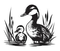 Duck With Duckling, Mom and baby duck, Duck swimming in the lake illustration vector