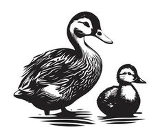 Duck With Duckling, Mom and baby duck, Duck swimming in the lake illustration vector