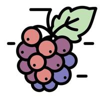 fruits bunch of purple grapes vector