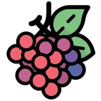 fruits bunch of purple grapes vector