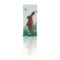 lapin lapin en forme de des chocolats dans Plastique sac avec Couper en dehors isolé sur Contexte transparent png
