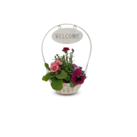 Beautiful summer flowers in a pots with cut out isolated on background transparent png