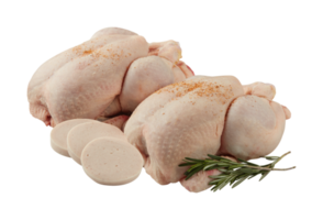 entier Frais poulet avec Couper en dehors isolé sur Contexte transparent png