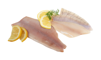 Pangasius Filet mit Schnitt aus isoliert auf Hintergrund transparent png