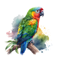 aguarela papagaio ilustração, ai generativo png