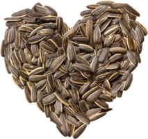 Sunflower seeds laid out in the shape of a heart. png