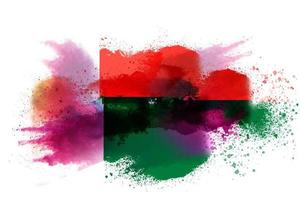 Madagascar Watercolor Painted Flag photo