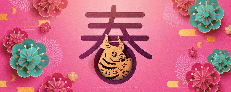 Chinese new year banner with exquisite paper cutting flower and bull on cerise pink background, Chinese translation, Spring