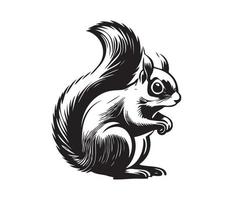 Squirrel Face, Silhouettes Squirrel Face, black and white Squirrel vector