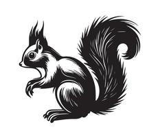 Squirrel Face, Silhouettes Squirrel Face, black and white Squirrel vector