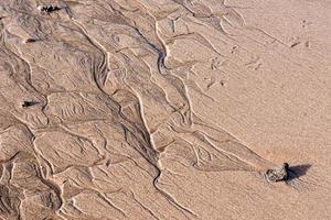 Beach sand texture photo