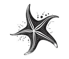 mar estrella pescado marina, ilustración de un estrella de mar vector