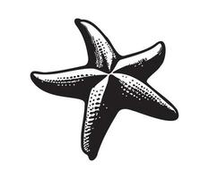 Sea star fish marine, illustration of a starfish vector