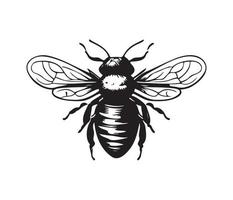 Honey Bee icon, honey bee silhouette vector