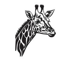 Giraffe Face, Silhouettes Giraffe Face, black and white Giraffe vector