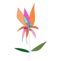 fleurs de doodle abstraites dessinées à la main png