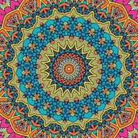 A colorful mandala with a pattern of the circle vector