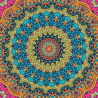 A colorful mandala with a pattern of the circle vector