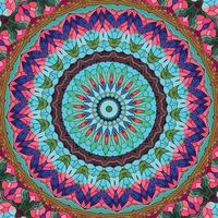 A colorful mandala with a pattern of leaves and flowers Pattern Background vector