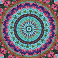 A colorful mandala with a pattern of leaves and flowers Pattern Background vector