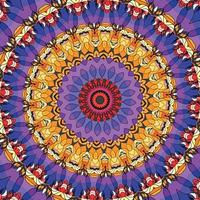 A colorful mandala with a pattern vector
