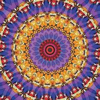 A colorful mandala with a pattern vector