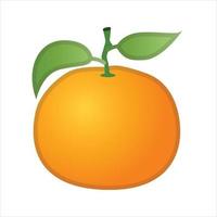 Orange Illustration Vector