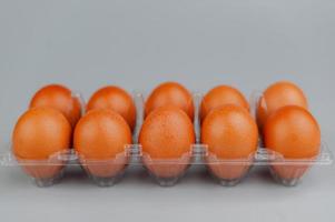 Chicken eggs in a panel. Clean chicken eggs on a gray background. photo