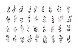 Set of vector vintage floral elements. Hand drawn cute line art . Elements flowers, branches, swashes and flourishes