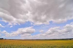 Scenic rural landscape photo