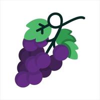 Grape Illustration Vector