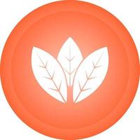 Spearmint Vector Icon