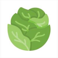 Vegetable Illustration Vector