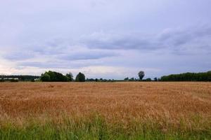 Scenic rural landscape photo