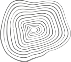 albero anelli biologico modello. topografia linea cerchio. natura ondulato contorno forma. topografica icona png