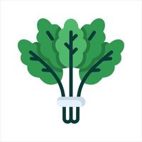 Vegetable Illustration Vector