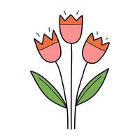 Tulip spring flower vector doodle illustration.