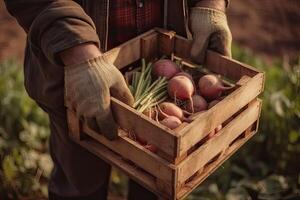 Farmer holding box with vegetables. Farmer holding wooden crate filled with fresh vegetables and fruits. . photo