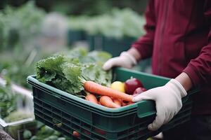 Farmer holding box with vegetables. Farmer holding wooden crate filled with fresh vegetables and fruits. . photo