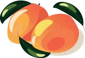 Vector image of a mango. Two mangoes on a white background. Mango with leaves.