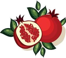 Vector image of a pomegranate. Pomegranate with leaves. Two grenades. Cut pomegranate.