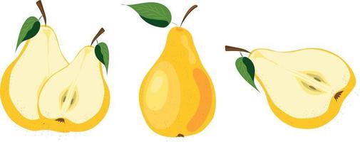 set of vector illustrations of pears. Pears cut and whole. Yellow pears.