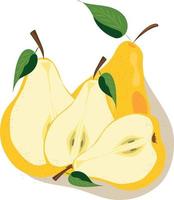 pear vector image. Yellow pear. Three yellow pears. half a pear