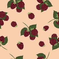 High quality vector illustration. Pattern with raspberries. Raspberry branches.