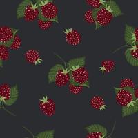 High quality vector illustration. Pattern with raspberries. Raspberry branches.