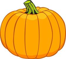 Orange autumn pumpkin. color vector illustration