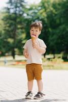 linda caucásico chico de Tres años antiguo come hielo crema en un cono mientras caminando en un verano parque foto