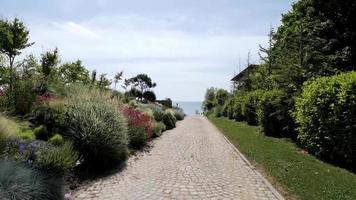 pavé route qui passe par une fleur jardin video