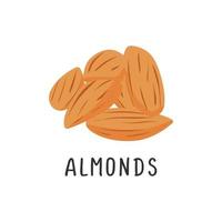 Almonds Vector illustration, flat design cartoon of nutty almonds