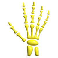 3d icona di cranio osso png